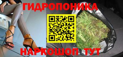 ПСИЛОЦИБИНОВЫЕ ГРИБЫ Апшеронск
