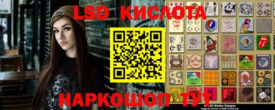 стафф Донской