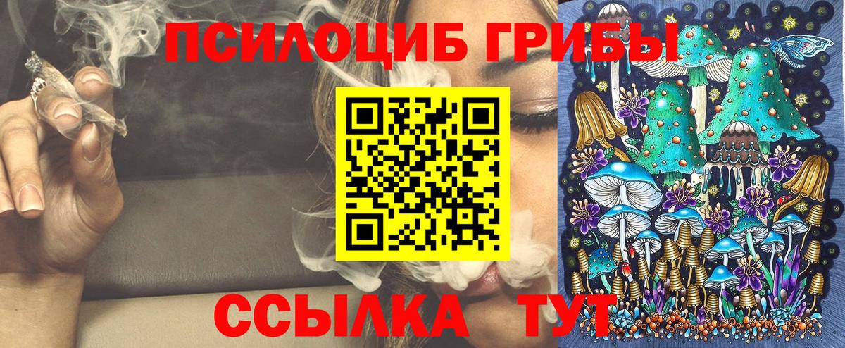 Богородск  Псилоцибиновые грибы GOLDEN TEACHER  Вход с VPN 
