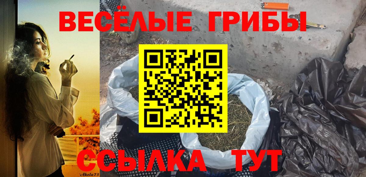 Галлюциногенные грибы Psilocybe Богородск